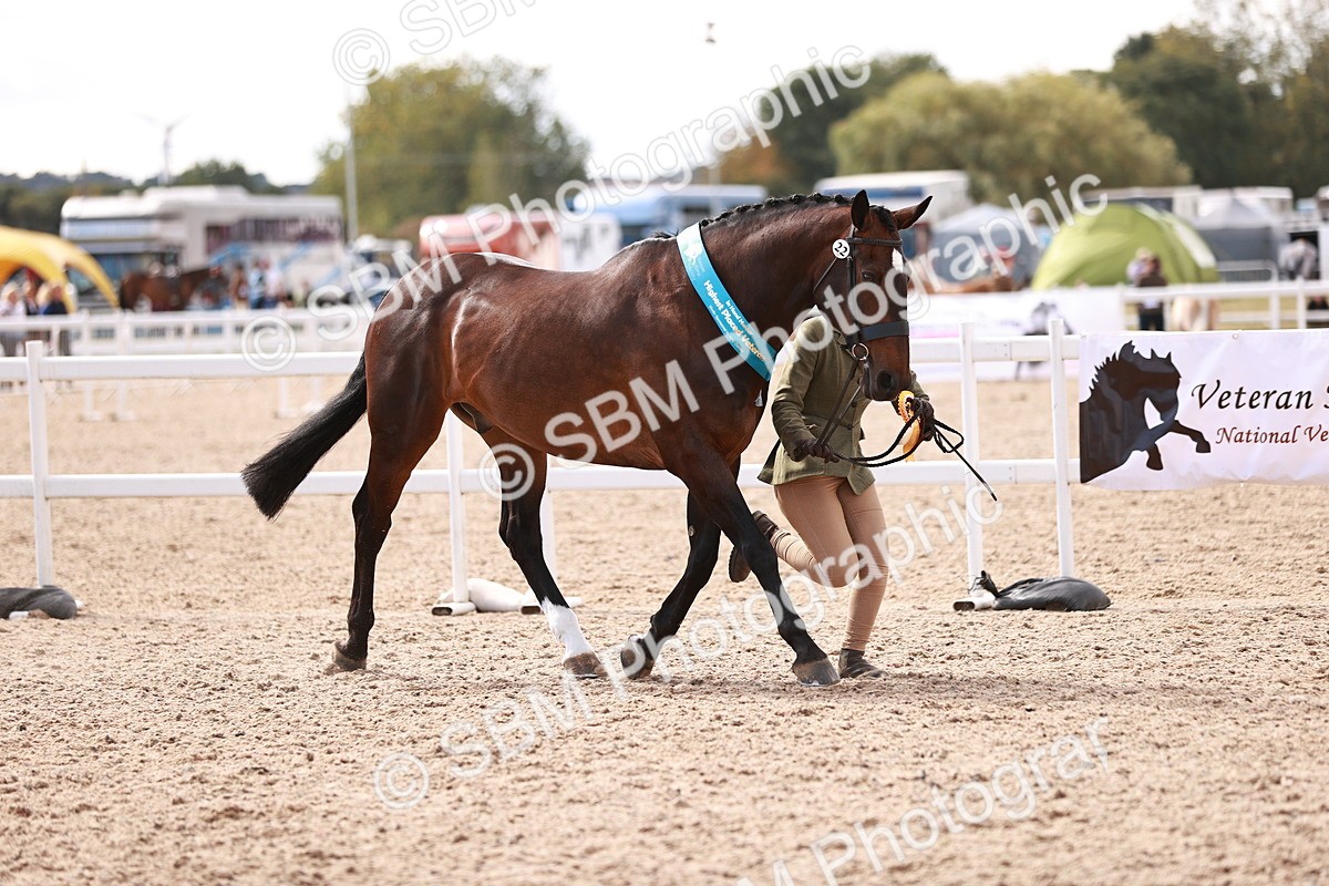 SBM_13379 - class 406 - IH Hunter