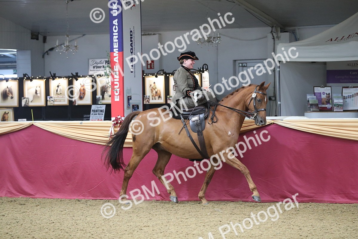SBM_11521 - Class 105 Ridden Costume- Side Saddle