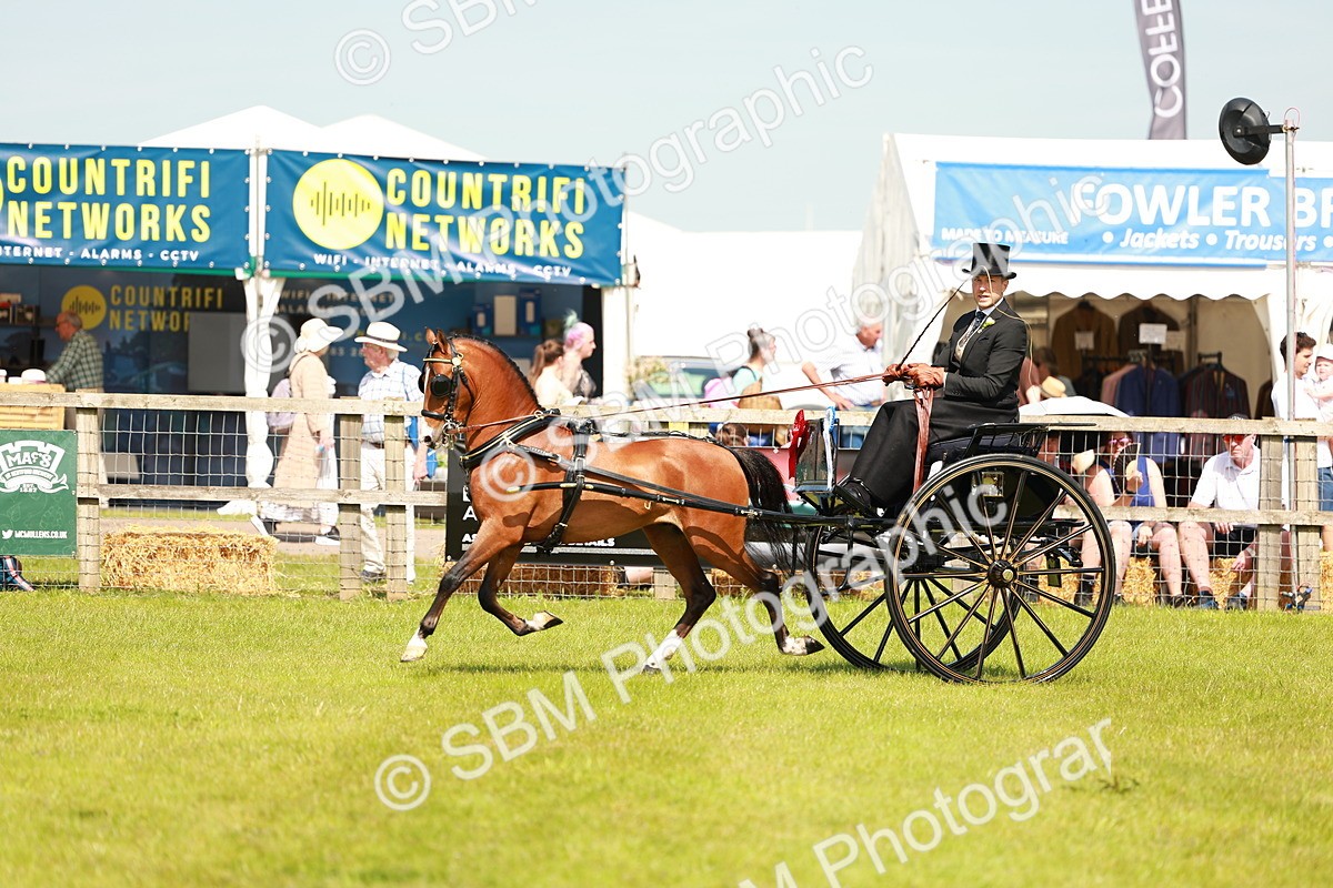 SBM_02872 - Class 2-4 - HOYS Private Driving