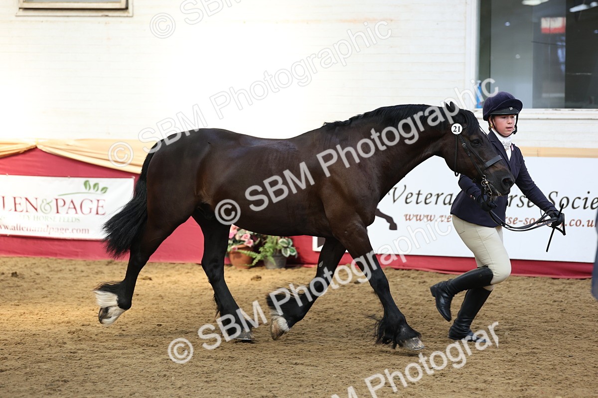 SBM_24136 - Class 905 - Supreme Final - Ridden Veteran
