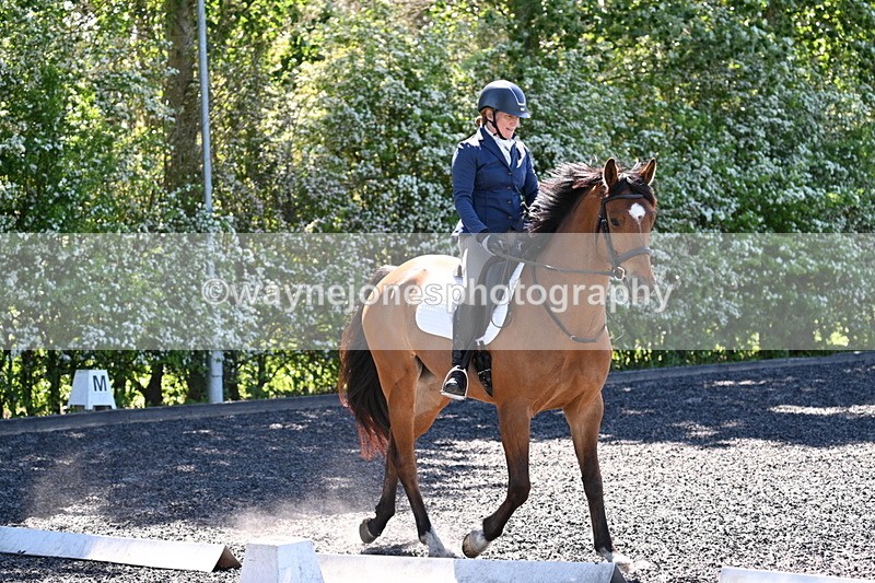 WJ7_9608 - Time 12:10 to 12:21