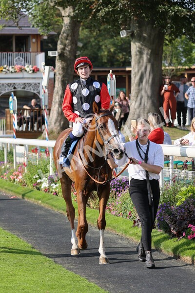 yr05092021r5-29 - Race 5 4.20pm Little Green Rascals Children's Nurseries Stakes