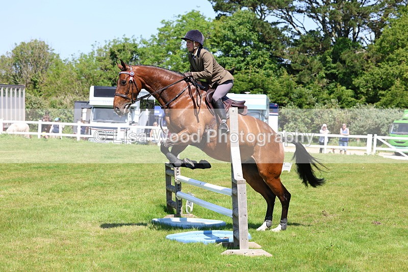 3E7A7454 - Class 31: Working Hunter Cob/Riding Horse