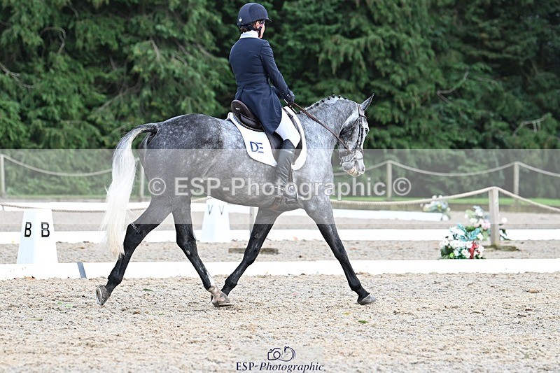 231019-162101-05304 - 068-DASSETT.PREMIER-Kate.Rocher-Smith-DR