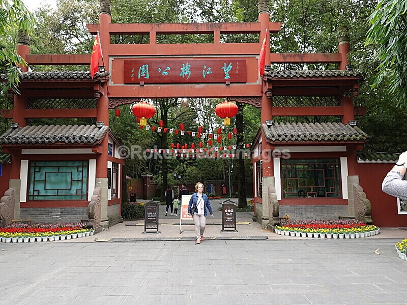 CHINA__0341 - China 2019
