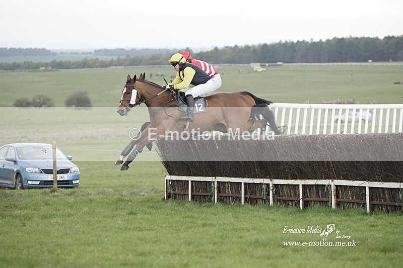 PtP 260323 0591 - New Forest Hounds Point-to-Point Larkhill 26/03/23