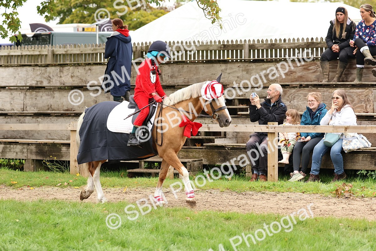SBM_61613 - S37a - Fancy Dress Showing