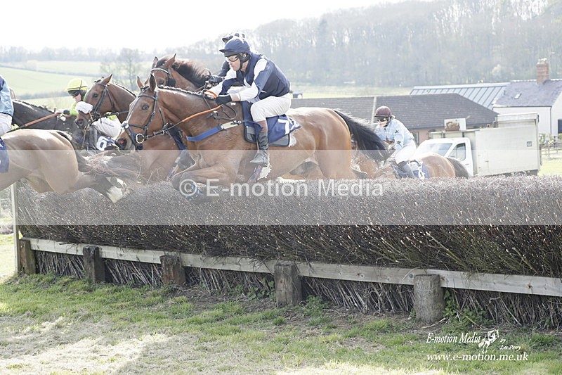 PtP 080423 549 - Dingley Races The Woodland Pytchley Hunt PtP 08/04/23