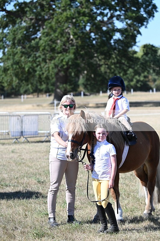 WJ7_1648 - Class 42 Most Handsome Gelding
