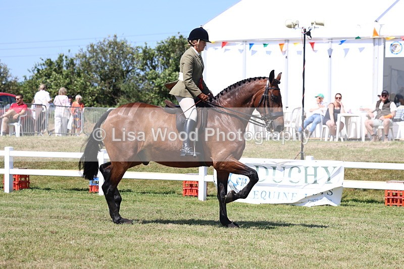 3E7A7481 - Rising Star Ridden Championship