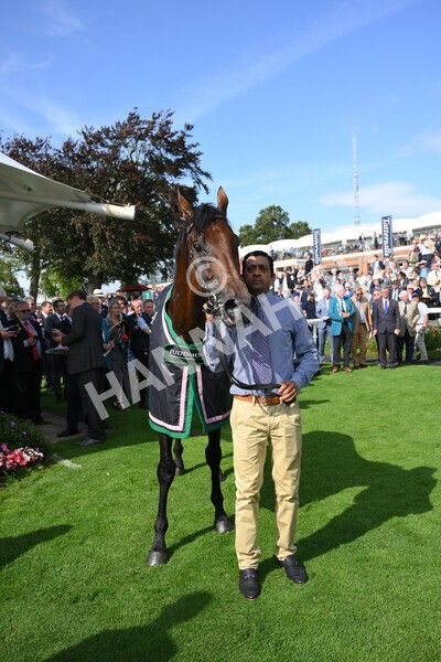 yr18082021r4-151 - Race 4 3.35pm Juddmonte International Stakes (British Champion Series race)