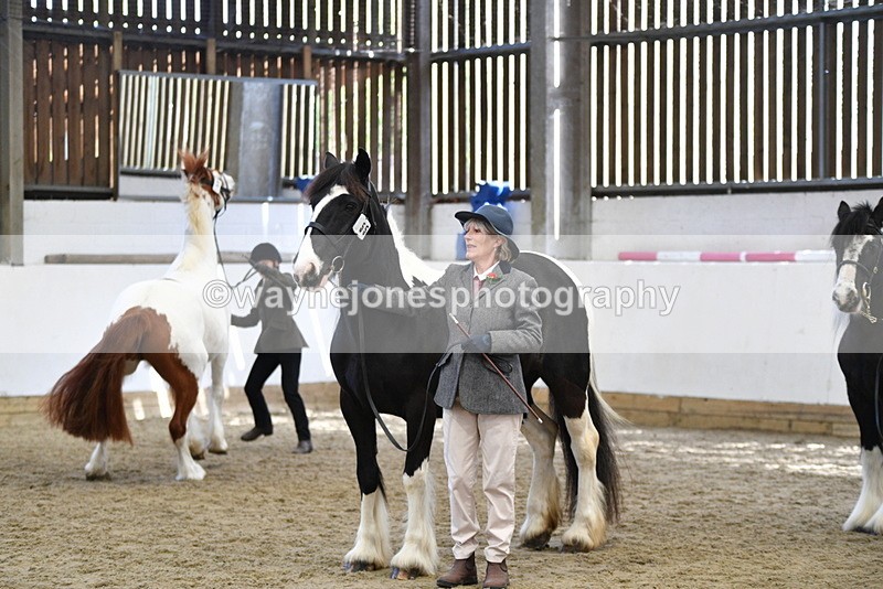 WJ5_5107 - Class 7 In hand coloured / odd coloured