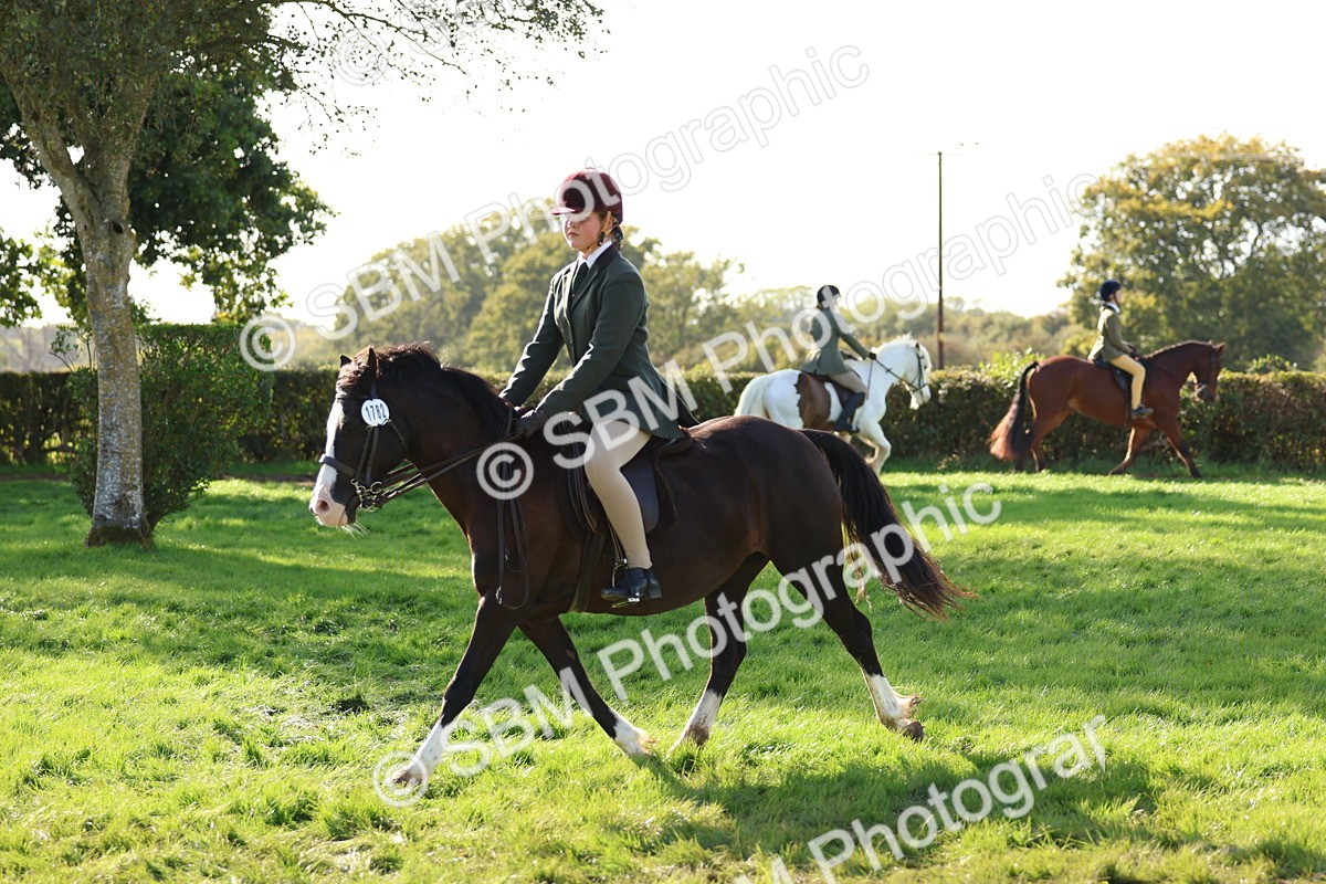 SBM_52423 - S13 - Pony Club Pony