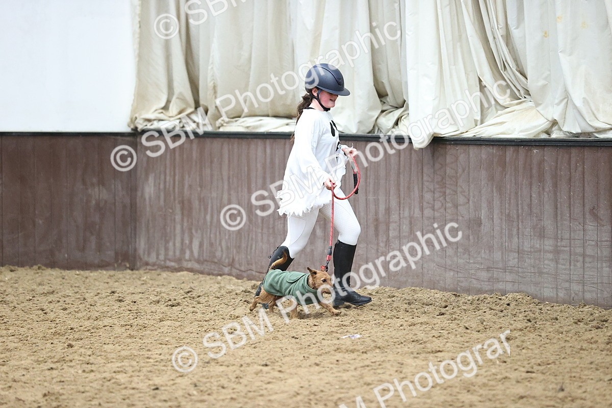 SBM_001526 - Class 3 - Horse & Hound 60cm