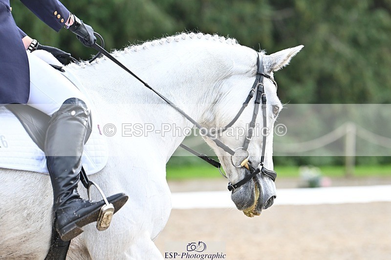 231019-144122-04577 - 126-DERRYS.LADY.LOU-Debbie.Townsend-DR