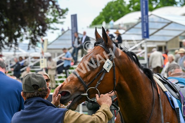 160524-Race 1-Clarendon House-5262 - Race 1 2.15pm Lindum York Handicap