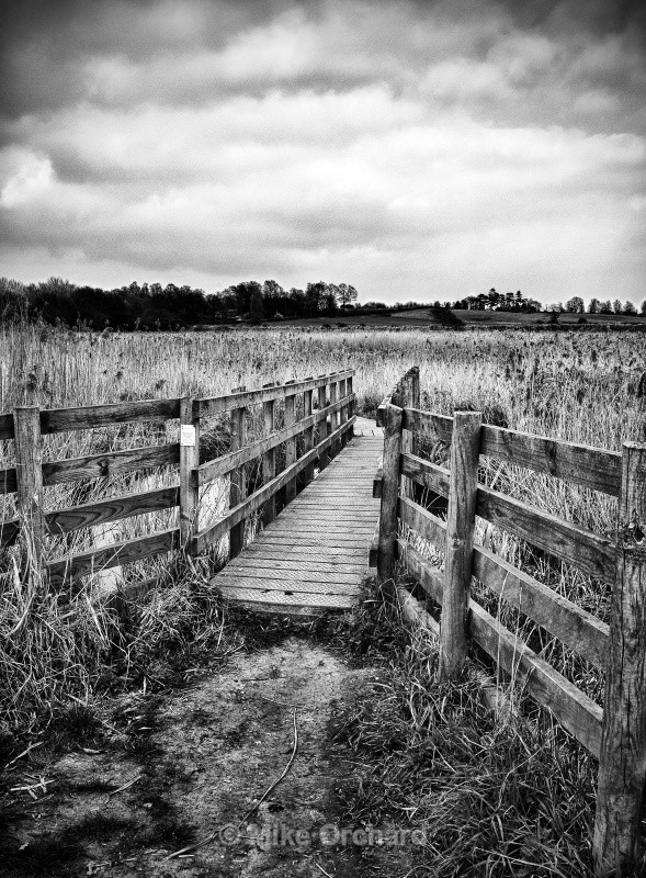 Levington Reed Beds - Suffolk - Landscapes