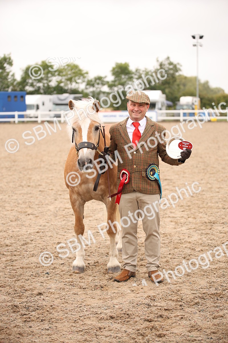 SBM_22171 - Class 707 - Ridden Groom-Helpers Class