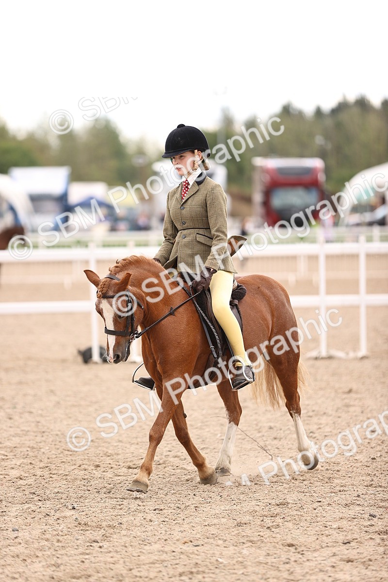 SBM_18077 - Class 422 - Equitation (Best Rider) Jnr