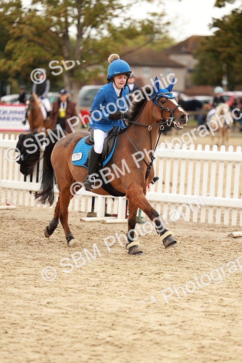 SBM_57869 - J11 - Junior Pony 50cm Championship