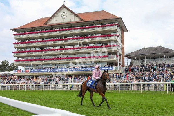 240823-Race 4-Warm Heart-5211 - Race 4 3.35pm Pertemps Network Yorkshire Oaks