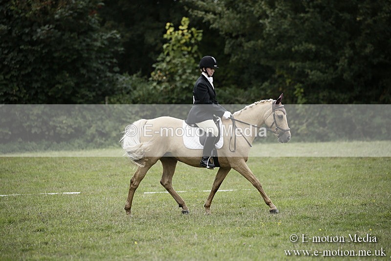 BVR080918 298 - BVRC Novice Dressage & CR 08/09/18