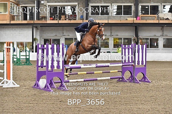 BPP_3656 - FRI CLASS 21 BR NOVICE/90CM