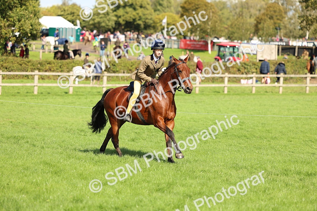 SBM_45498 - S33 - Working Hunter Pony