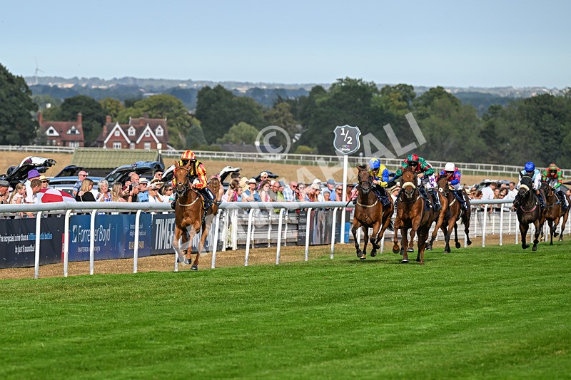 130826-Race 6-Saxon Grace-9871 - Race 6 16.45pm Racing Again On Saturday 29 August Handicap