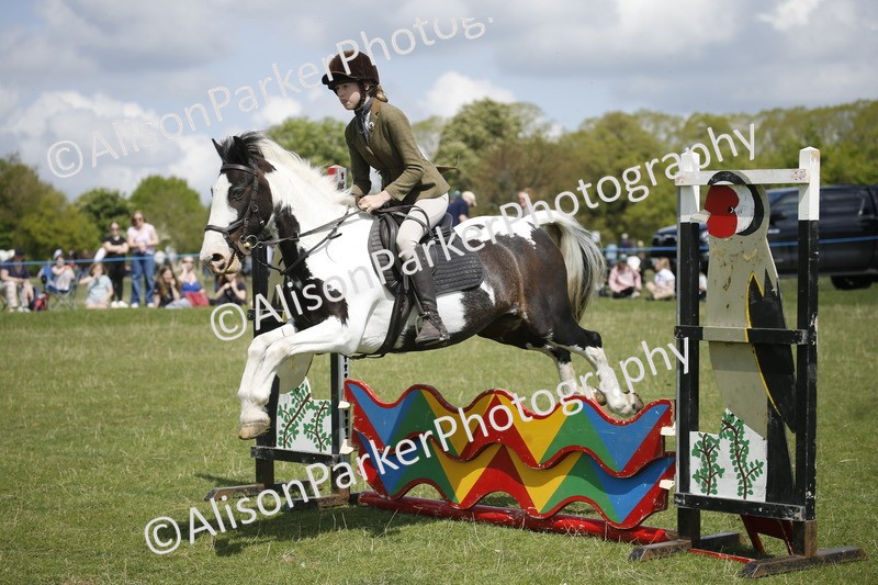 20250427-3606 - Class 14 - Absolute Novice 70cm