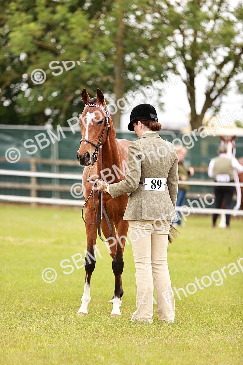 SBM_04769 - Class 35-38 Riding Horse Breeding