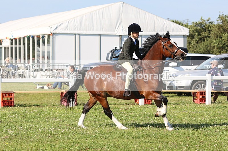 JPP_1288 - Class 18: Cornish Combination Young Rider