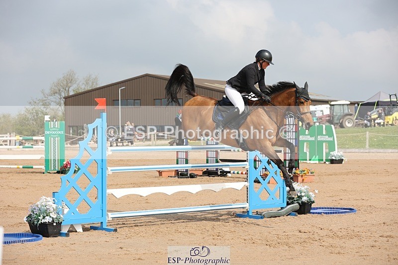 250424-103025-03062 - Cls 33 Young Horse 7yr old