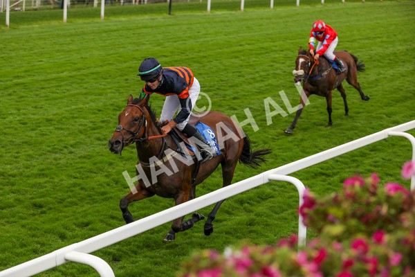 080924-Pony Race-4308 - Pony Race 1.00pm The Dragon (TV and Film) Studios Pony Race 148cm & Under