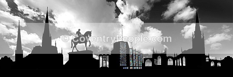 cov301 - Canvas Prints