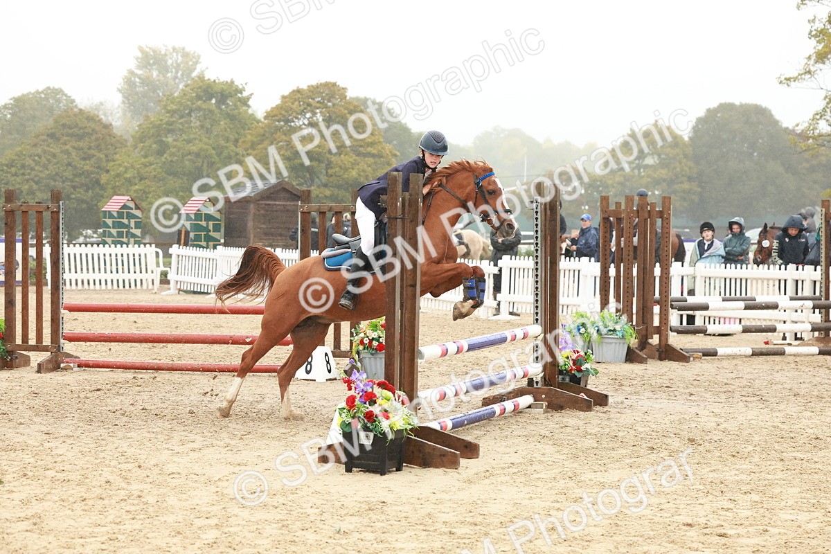 SBM_73355 - Supreme Championship Junior Pony 60cm & 65cm