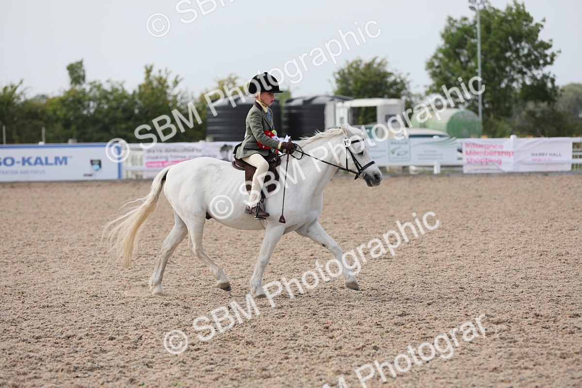 SBM_17075 - Class 314 Family Horse/Pony