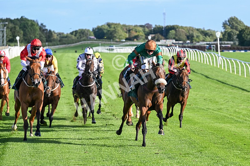 080926-Race 7-Military Girl-3324 - Race 7 5.21pm RMG Proudly Supports Teenage Cancer Trust Handicap