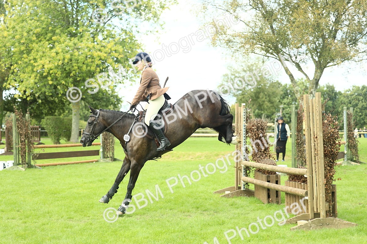 SBM_44778 - S31 - Working Hunter Pony