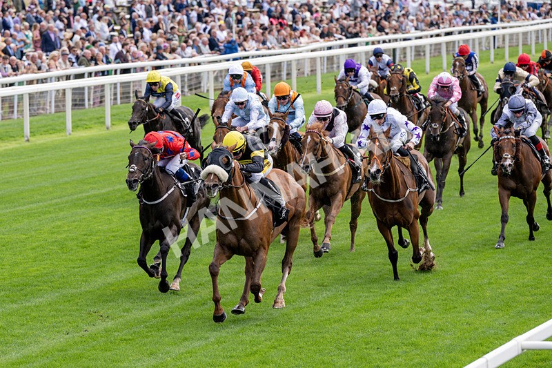 190826-Race 1-Air Force One-0140 - Race 1 13.50pm Hong Kong Jockey Club World Pool Handicap