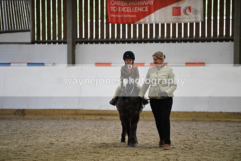 WJ5_6615 - Class 10 Childs Pony