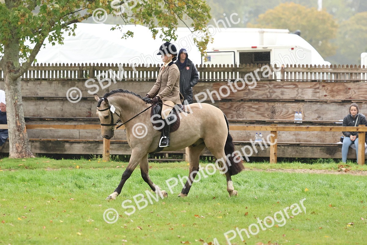 SBM_73058 - S63 Show Pony & Show Hunter Pony Ridden