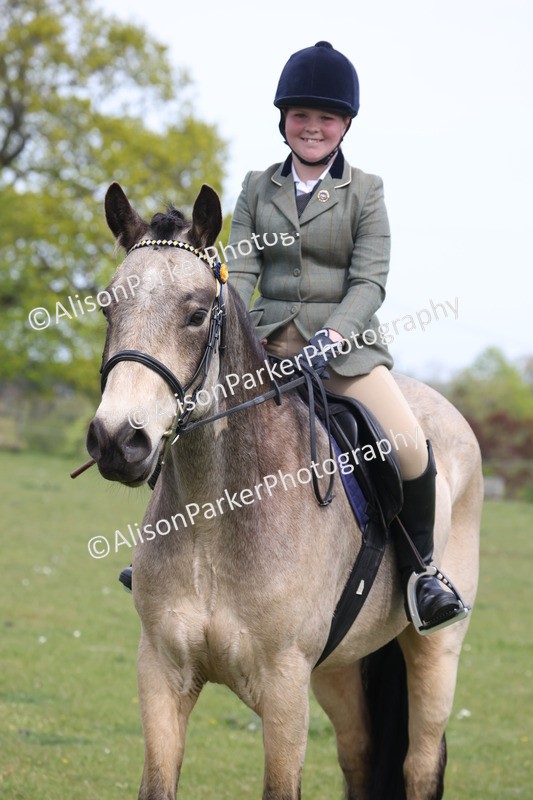 20260426-4376 - Class 34 - Best Riding Horse Over 14.2hh