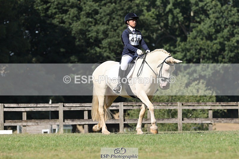 250823A-110536-27865 - Arena D