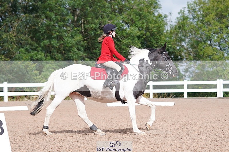 240809A-102516-00533 - Dressage Competition