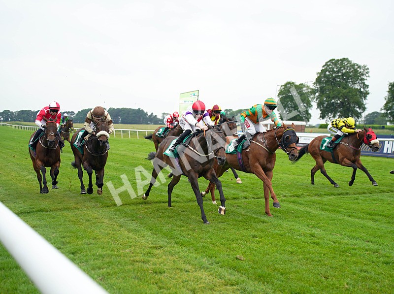 160626-Race 6-Crocus Time-4 - Race 6 17.20pm Next Meeting Wednesday 1st July - Book Now Handicap