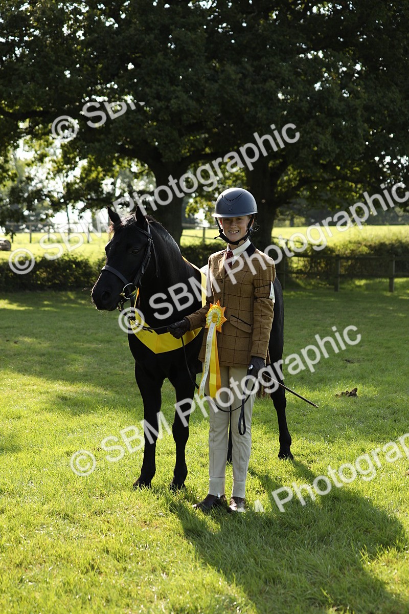 SBM_61058 - S44 - Part Bred Pony In hand