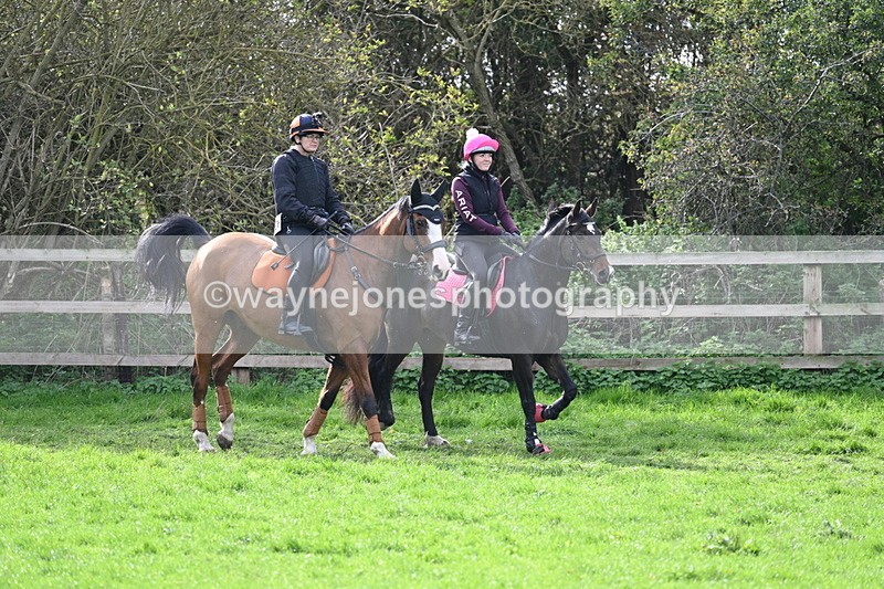 WJ7_0411 - Time 13:55 to 14:26