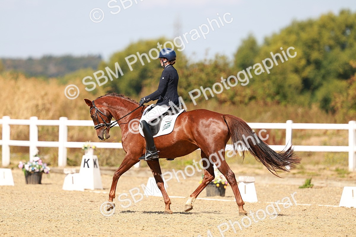 SBM_018311 - Class 9 - N5 Bronze 11.57.13.07