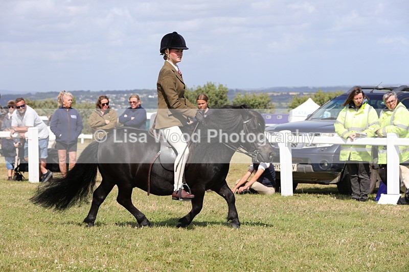 1X9A5592 - Class 39: NPS Dartmoor, Exmoor, Shetland